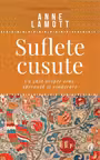 Suflete cusute