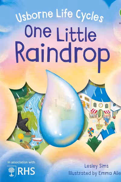 One Little Raindrop