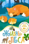 Жизнь леса