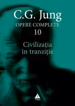 Civilizatia in tranzitie