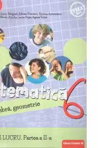 Matematica. Algebra, geometrie. Caiet de lucru. Clasa a VI-a. Consolidare si aprofundare. Partea a II-a