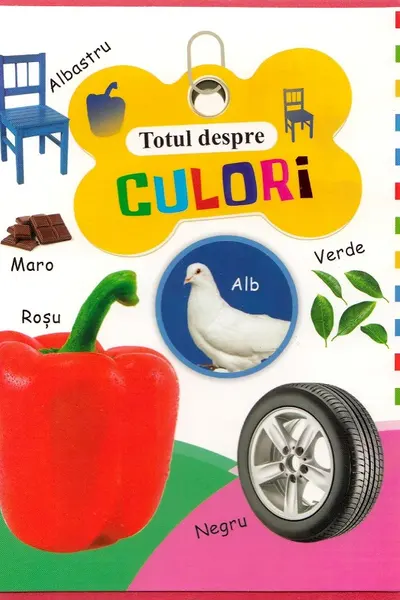 Totul despre culori