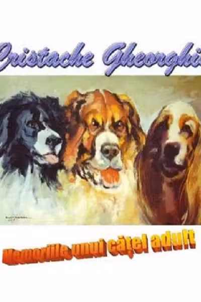Memoriile unui cățel adult