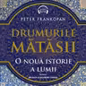 Drumurile mătăsii (audiobook)