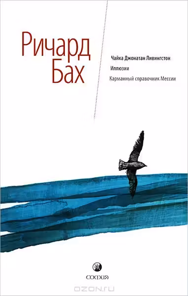 Чайка. Иллюзии. Карманный справочник Мессии