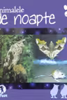 Animalele de noapte