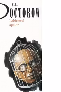 Labirintul apelor