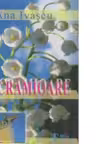 Lacramioare
