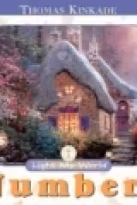 Numbers: Light My World Board Book