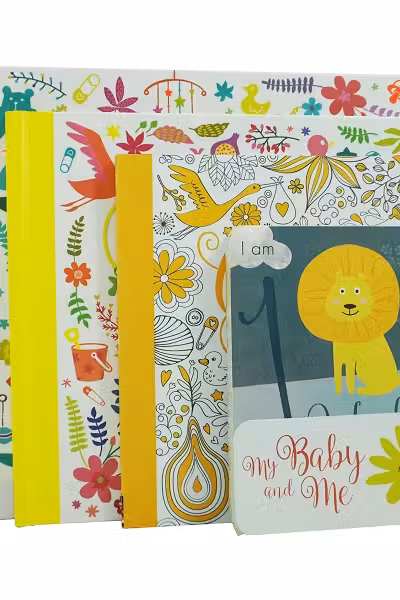 My Baby and Me 3 Books Baby Gift Box Set with 16 Milestone Cards (Baby Record Book Messages For Baby BookColouring Book & 16 Milestone Card)
