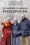 Trei prieteni, in cautarea intelepciunii