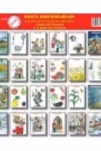 Roata anotimpurilor - Suport pentru proiecte tematice (4 planse color format A3 si 24 planse color format A4)