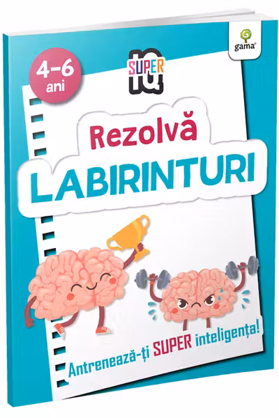 Rezolva labirinturi