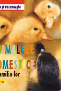 Priveste si recunoaste animalele domestice si familia lor