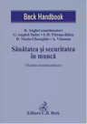 Sanatatea si securitatea in munca. Abordare multidisciplinara - Razvan Anghel, Georgiana Anghel-Tudor