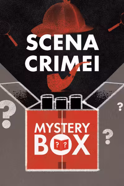 Mystery Box Scena Crimei 2024