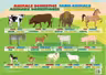 Planșa Animale domestice