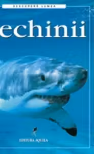 Rechinii