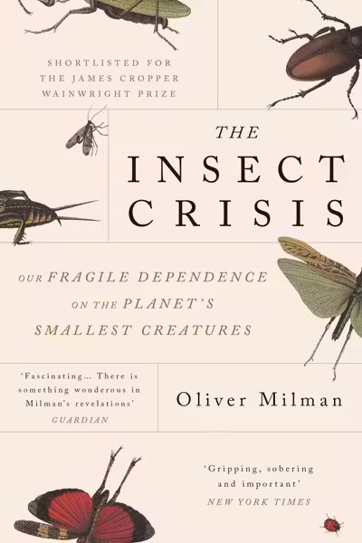 The Insect Crisis