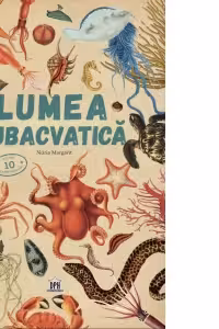 Lumea subacvatica