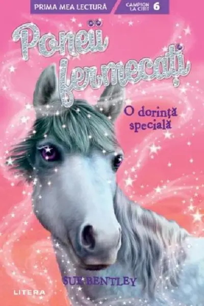 Poneii fermecati - O dorinta speciala