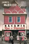 Băcănia Rai și Pământ