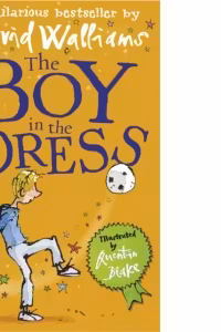 The Boy in the Dress