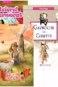 Pachet promotional * Literatura pentru scolari (3 carti bogat ilustrate): Heidi; Fluierul fermecat; Gavroche si Cosette