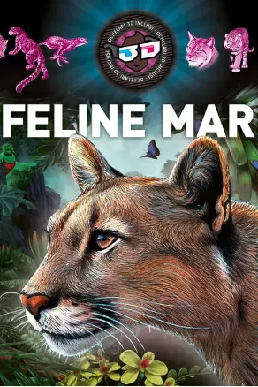 Feline mari 3D