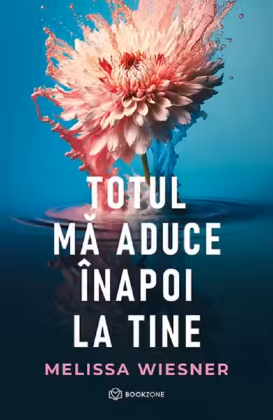 Totul ma aduce inapoi la tine