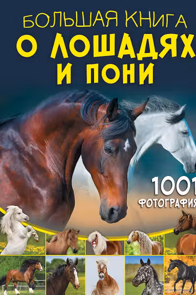 Большая книга о лошадях и пони. 1001 фотография