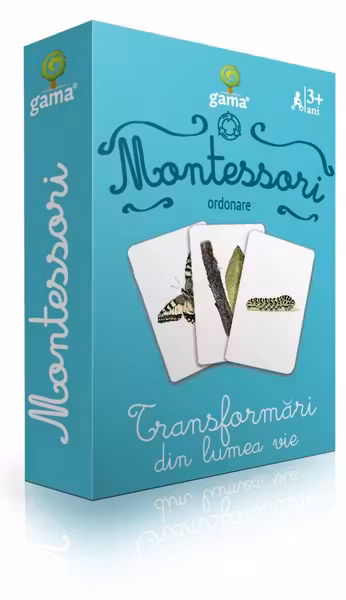 Ordonare. Transformari din lumea vie