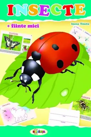 Insecte. Mapa.
