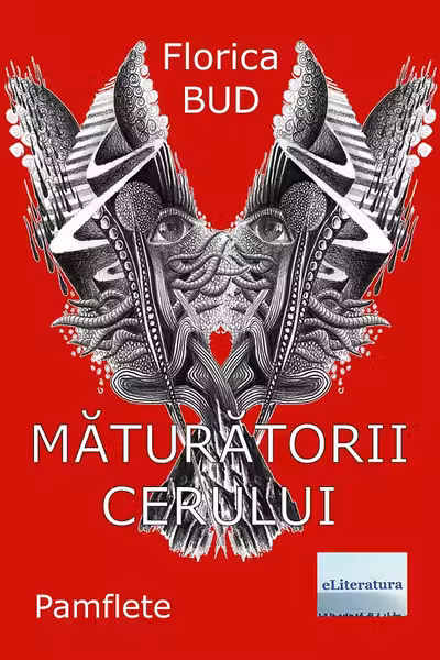Măturătorii cerului
