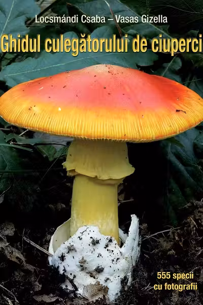 Ghidul culegatorului de ciuperci
