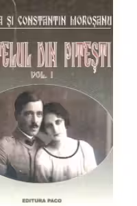 Castelul din Pitesti, Volumul I