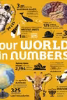 Our World in Numbers