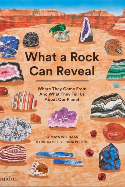 What a Rock Can Reveal