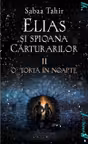 Elias si spioana carturarilor 2. O torta in noapte