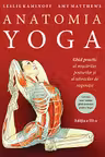 Anatomia Yoga