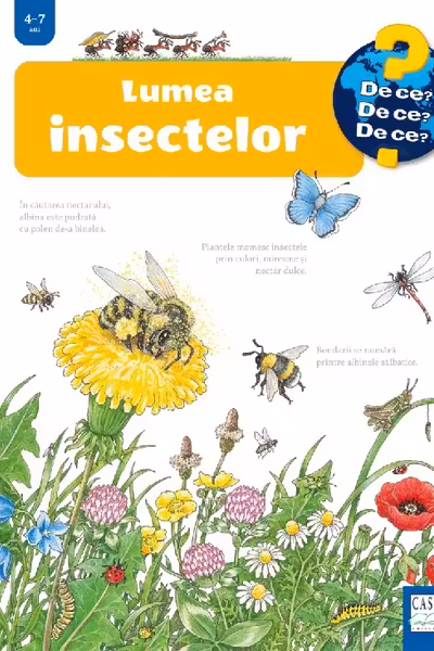 Lumea insectelor