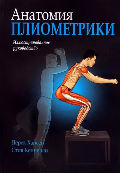 Анатомия плиометрики