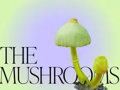 Mushroom Magic