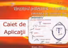 Vânzătorul profesionist, o realitate. Caiet de aplicații