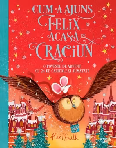 CUM A AJUNS FELIX ACASA DE CRACIUN.