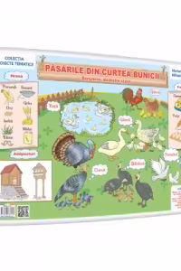 Pasarile din curtea bunicii - plansa A3 - Proiecte Tematice