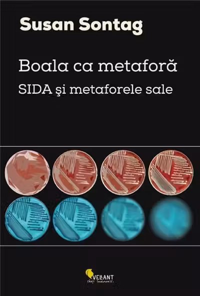 Boala ca metafora