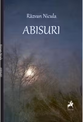 Abisuri