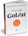 David si Goliat. Outsideri, inadaptati si arta luptei cu gigantii