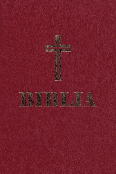 Biblia sau Sfânta Scriptură simplă grena Ed.2025